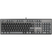  Клавиатура A4Tech Fstyler FS100 Neon черный 