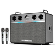  Портативная колонка W-King T16Plus черный 