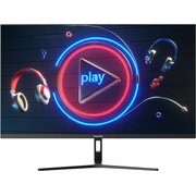  Монитор CHiQ LMN24F650-R 