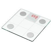  Электронные весы MAXVI BS101 white 