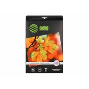  Фотобумага Cactus Prof CS-HGA426050 A4/260г/м2/50л./белый глянцевое для струйной печати 