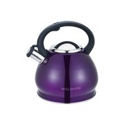  Чайник WILLMARK WTK-4221SS фиолетовый 