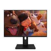  Монитор AIWA MF2203 Black 21.5" 
