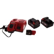  АКБ+Зарядное устройство Milwaukee M18 NRG-502 (4933459217) 