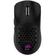  Мышь OKLICK 900GMW черный 