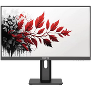  Монитор RDW Computers RDW2701K (RDW2701K/Q03В3100V2A1) черный 