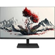  Монитор RDW COMPUTERS RDW2401K (2401K/F00В3120V2A1) черный 