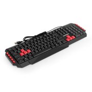  Клавиатура ExeGate Multimedia Professional Standard LY-505M (EX296103RUS) 
