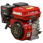  Двигатель Asilak SL-170F-D20 