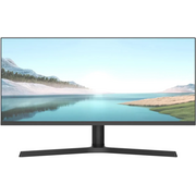  Монитор NPC MZ300L черный 