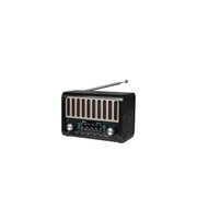  Радиоприемник Ritmix RPR-020 