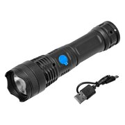  Фонарь FOCUSray 1313 (890248) 