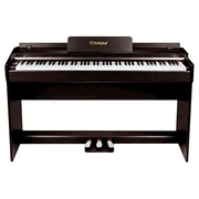  Цифровое фортепиано Solista DP600RW 