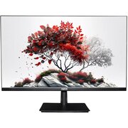  Монитор RDW COMPUTERS RDW2701K (RDW2701K/F08B3100V2A1) 
