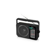  Радиоприемник Ritmix RPR-303 черный 