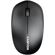  Мышь беспроводная Canyon MW-04 (CNS-CMSW04B) Черный 