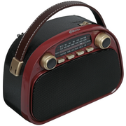  Радиоприемник Ritmix RPR-040 коричневый 