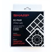  Набор фильтров SHARP ECF01R 2шт для ECJB19RS/ECKB19R 