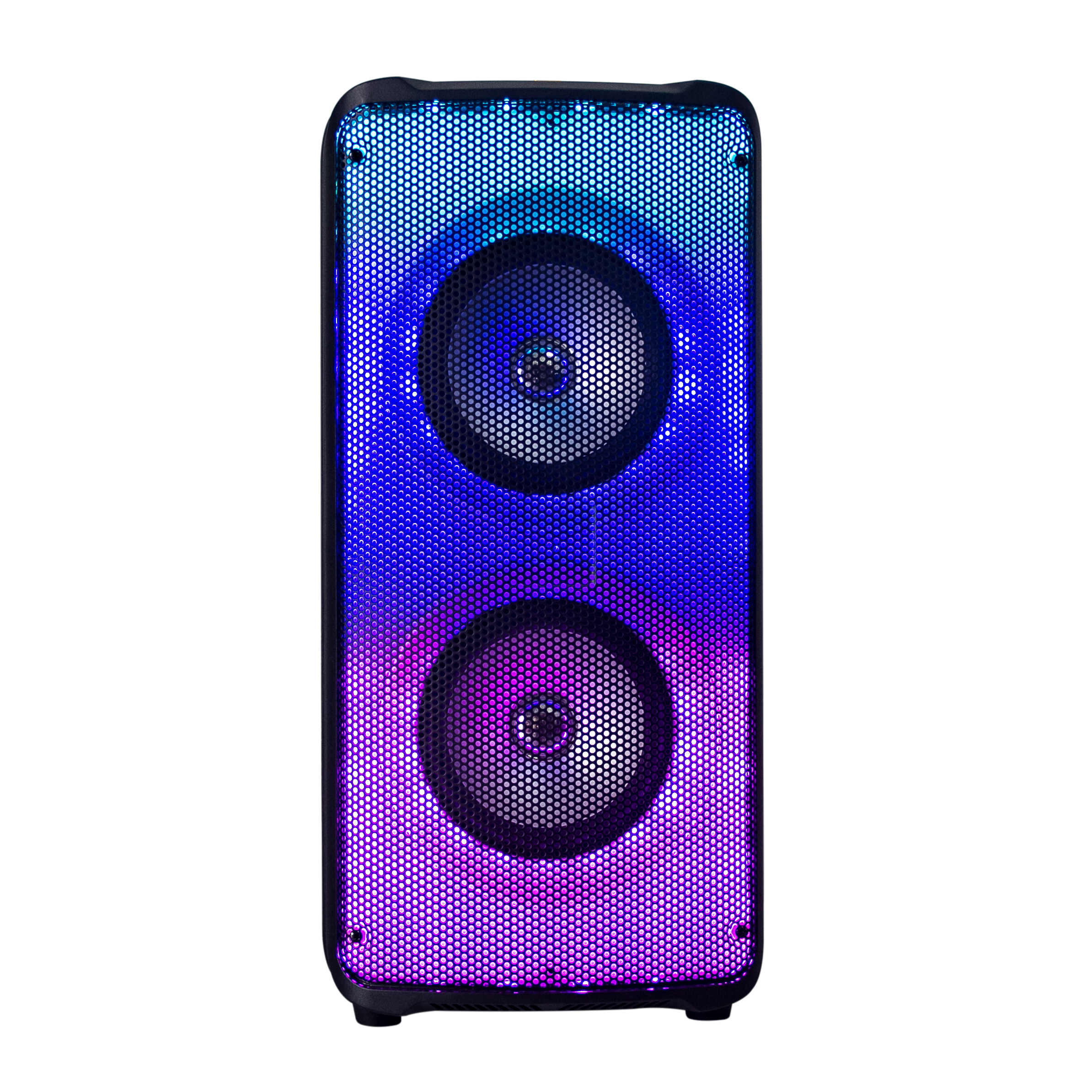 Колонки Eltronic 20 06 Купить