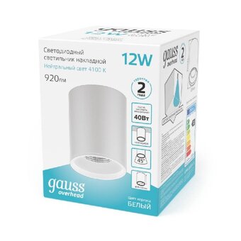  Светильник GAUSS Overhead HD011 12 Вт, белый 