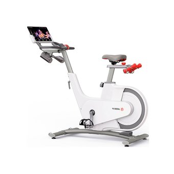  Велотренажер YESOUL Smart Spinning bike V1 белый 