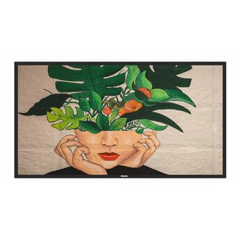 Профессиональный дисплей Philips 43BDL4650D/00 