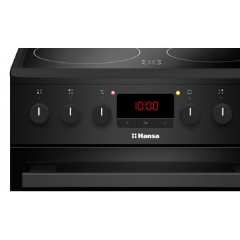  Кухонная плита Hansa FCCM58209H 