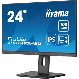  Монитор Iiyama ProLite XUB2493HSU-B7 черный 