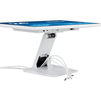  Монитор Iiyama ProLite T2452MSC-W1 белый 