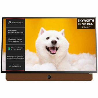  Телевизор Skyworth 24LP60G LED 