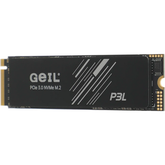  SSD Geil P3L (P3LFD16I2TBA) PCIe 3.0 x4 2TB M.2 2280 0.46 DWPD 