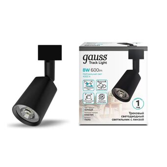  Светильник GAUSS TR090, 4000К, черный 