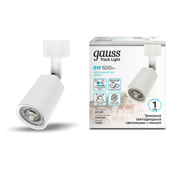  Светильник GAUSS TR089, 4000К, белый 