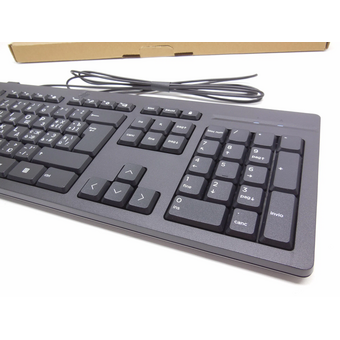  Клавиатура HP 125 (M27527-061) механическая черный USB 