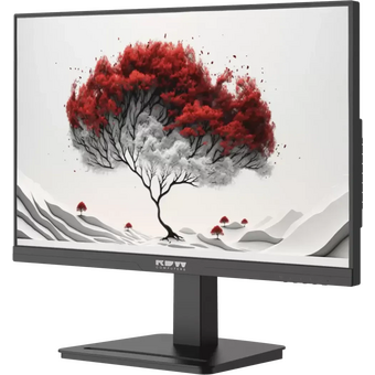  Монитор RDW Computers RDW2401K (2401K/F08В0120V2A1) черный 