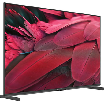  Телевизор Skyworth 55X85G Magic Sound Karaoke TV Frameless черный/черный 