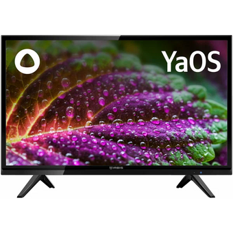  Телевизор IRBIS 24H1YDX101BS2 