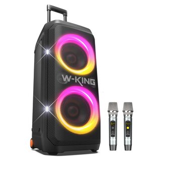  Портативная колонка W-King T12 Two mic 