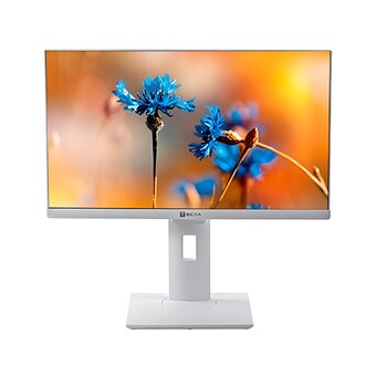  Моноблок Тесла P24WP (2116500) 