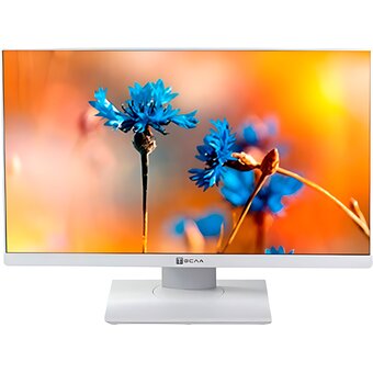  Моноблок Тесла P24WP (2116500) 