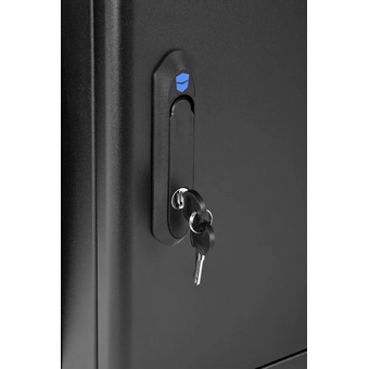  Шкаф коммутационный ЦМО ШРН-М-12.500-9005 настенный 12U 600x520мм черный 