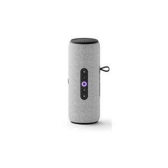  Умная колонка ЯНДЕКС Стрит Алиса YNDX-00030GRY серый 