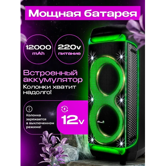  Портативная акустика ELTRONIC 30-30 Dance Box 1300 