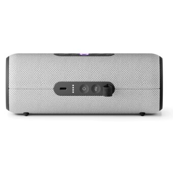  Умная колонка ЯНДЕКС Стрит Алиса YNDX-00030GRY серый 