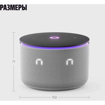  Умная колонка ЯНДЕКС Станция Мини 3 Про Алиса YNDX-00059GRY серый 