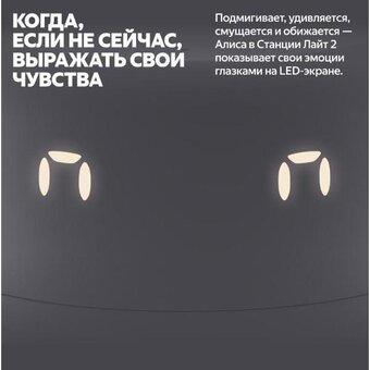  Умная колонка ЯНДЕКС Станция Лайт 2 Алиса YNDX-00026GRY графитовый 