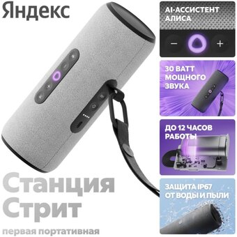  Умная колонка ЯНДЕКС Стрит Алиса YNDX-00030GRY серый 