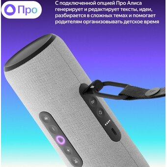  Умная колонка ЯНДЕКС Стрит Алиса YNDX-00030GRY серый 