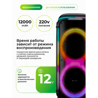  Портативная акустика ELTRONIC 30-69 Crazy Box 2000 