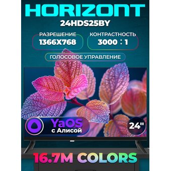  Телевизор Horizont 24HDS25BY черный 